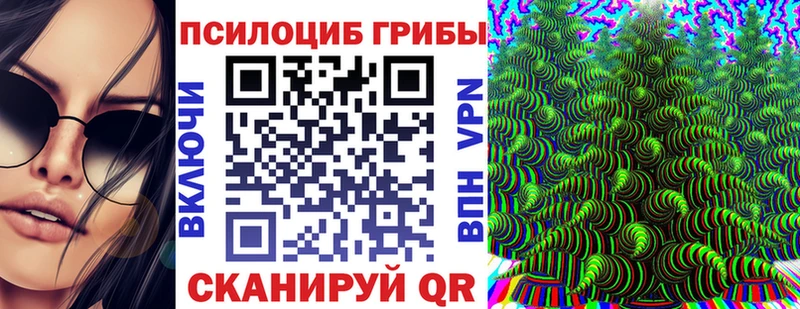 что такое Сафоново Псилоцибиновые грибы Cubensis