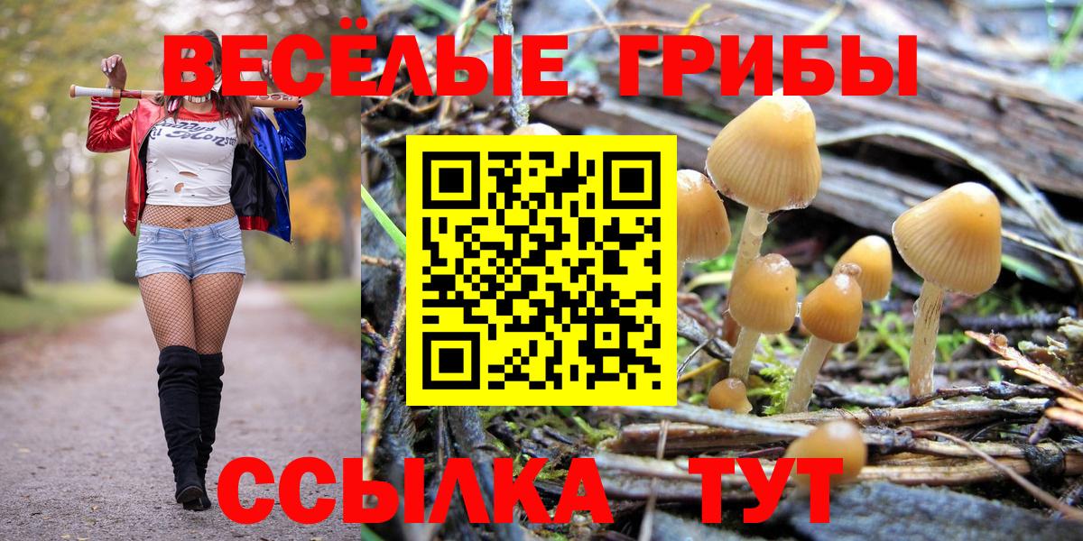 Галлюциногенные грибы MAGIC MUSHROOMS  Вход с VPN  Галлюциногенные грибы GOLDEN TEACHER  Сафоново 